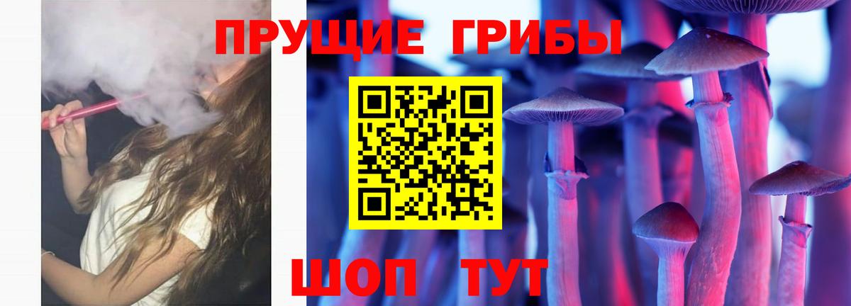 Сургут  Галлюциногенные грибы GOLDEN TEACHER  Вход с VPN  Галлюциногенные грибы MAGIC MUSHROOMS 