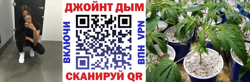 Бошки Шишки SATIVA & INDICA  где купить   Сургут 